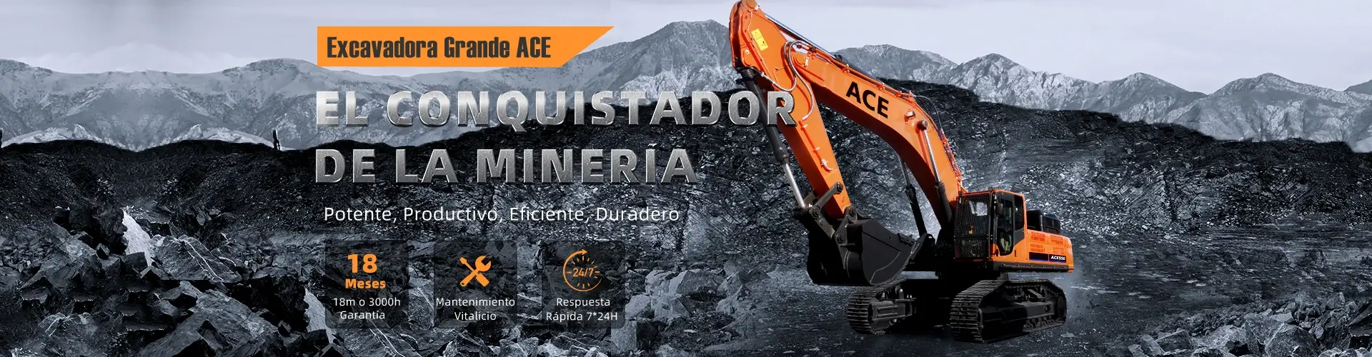 Excavadoras Grandes